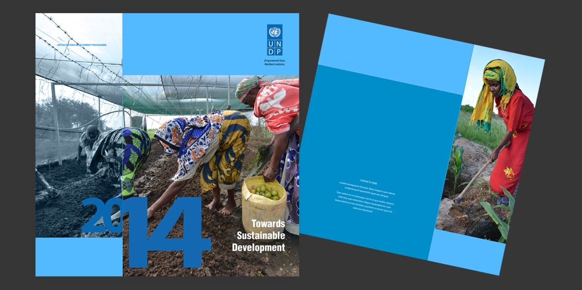 UNDP Towards Sustainable Development